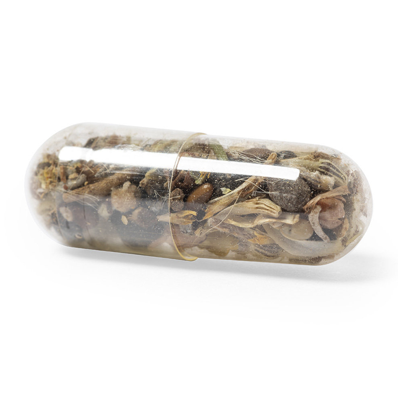 Capsule avec graines - image 2